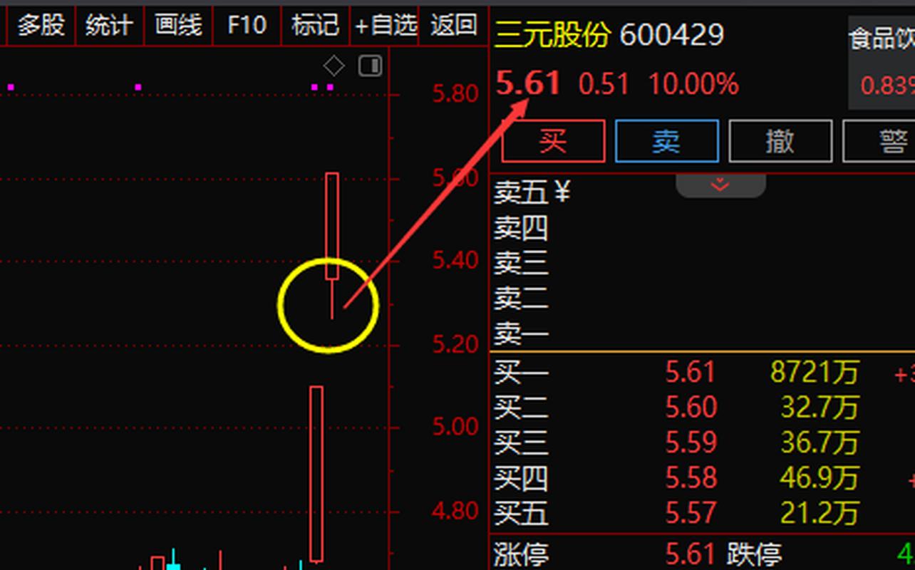 600429三元股份-三元集团股票