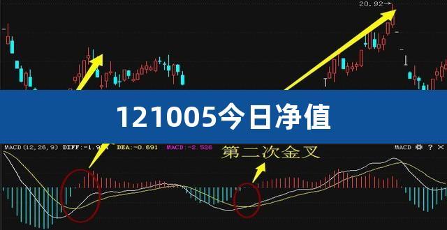 121005基金-121005基金今天估值净值查询