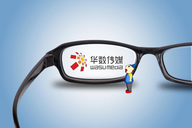 华数传媒-华数传媒是干什么的