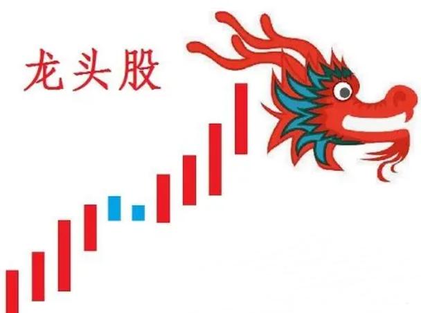 龙头股份-龙头股份公司简介