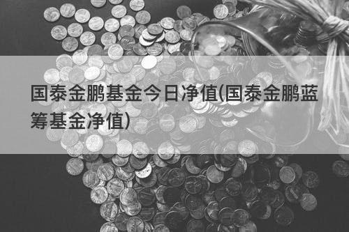 国泰金鹏蓝筹-国泰金鹏蓝筹混合分红