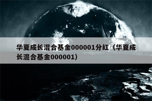 华夏成长混合基金-华夏成长混合基金000001
