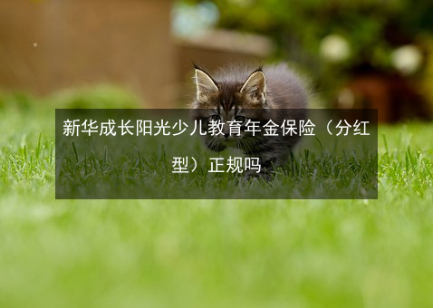 新华成长-新华成长阳光A