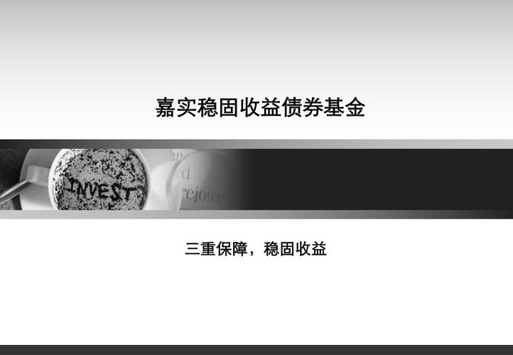 嘉实稳固收益债券-嘉实稳固收益债券C