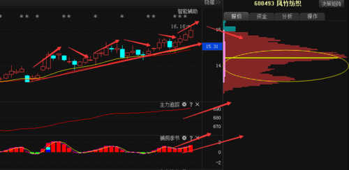 600493股票-600493股票行情怎样
