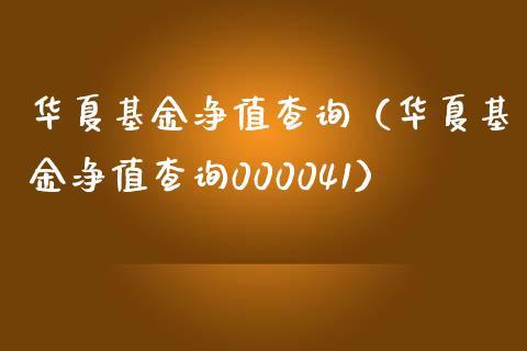 华夏精选-华夏精选基金000041今日净值