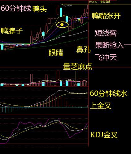 600830股吧-600803 股吧