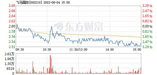 002306-002306东方财富