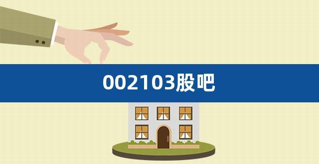 002103股票-002103股票股吧