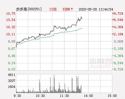 步步高股票-步步高股票行情