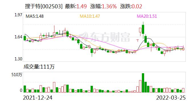 002503搜于特-002503搜于特股票