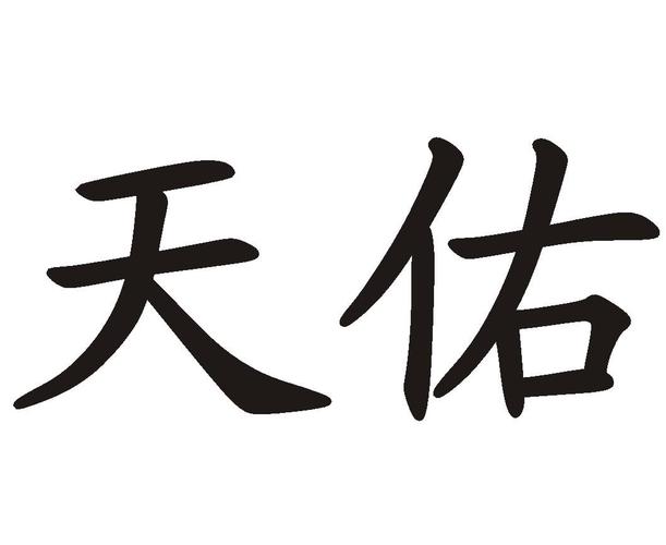 天佑财经-天佑财务公司