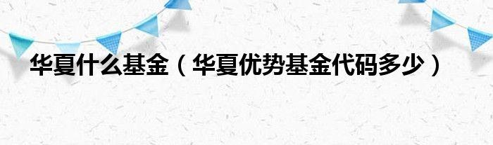 华夏优势-华夏优势精选股票基金