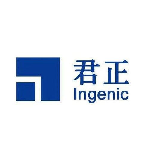 君正集团-君正集团是国企还是私企?