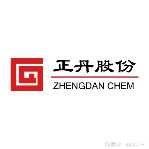正丹股份-正丹股份未来发展前景