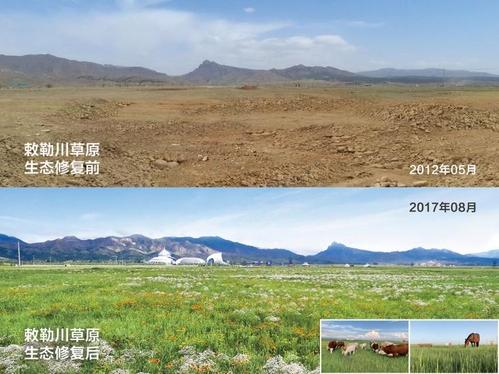 蒙草生态-蒙草生态2023年前景
