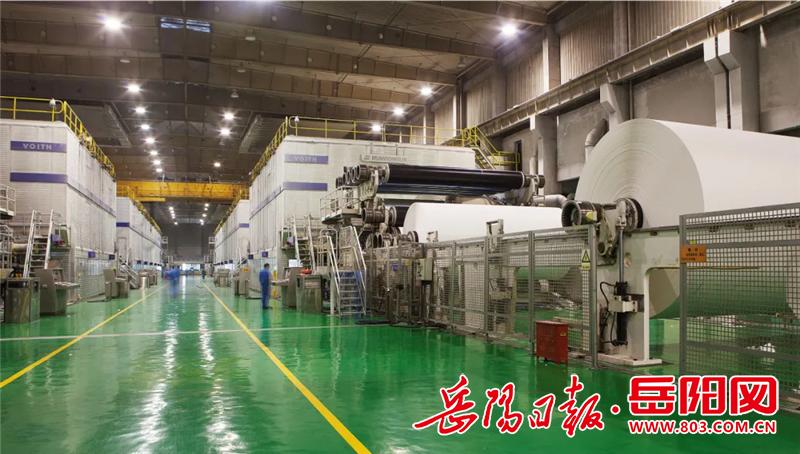 岳阳林纸-岳阳林纸最新消息