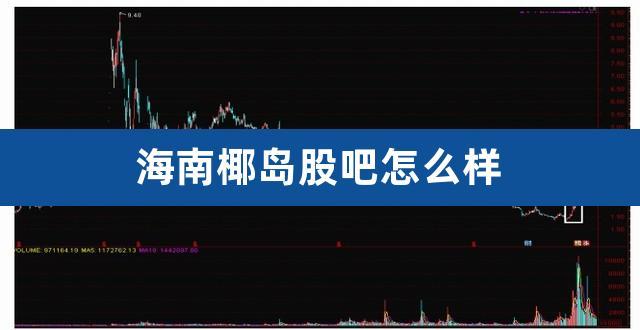 海南椰岛-海南椰岛股票股吧
