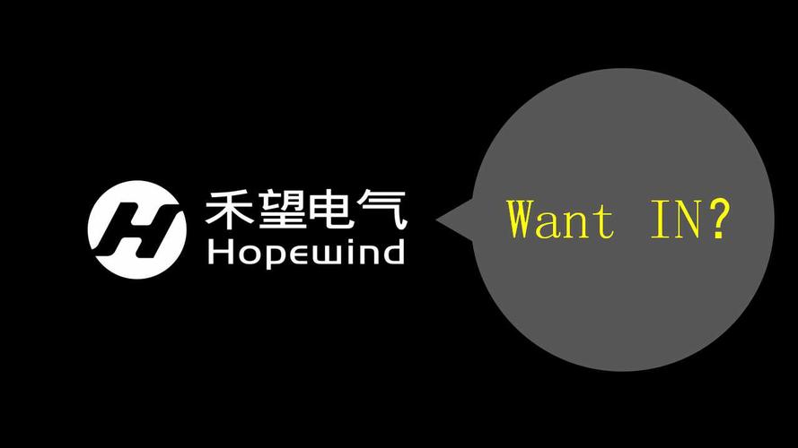 禾望电气-禾望电气股份有限公司