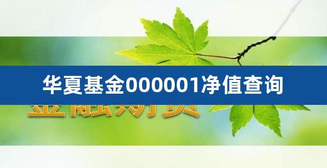 161726-161726基金