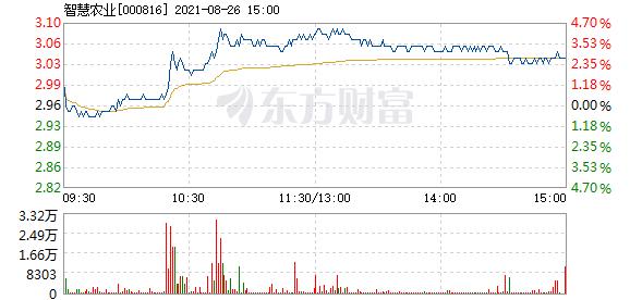 000816-000816最新消息