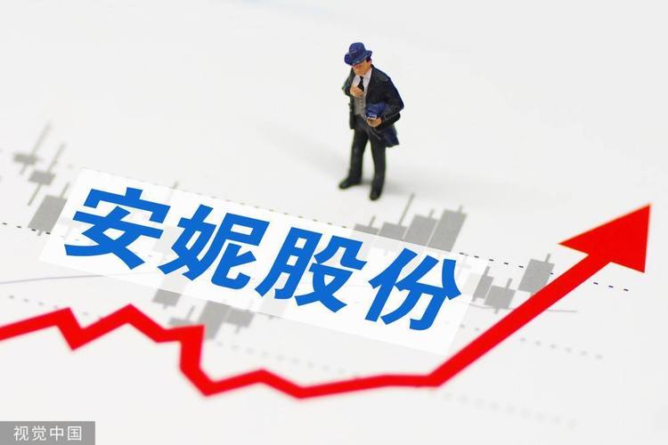 安妮股份002235-安妮股份002235股票