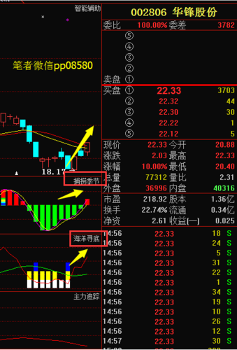 先锋股份-先锋股份股票行情002806