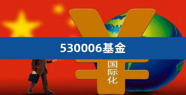 530006-530006今天最新净值