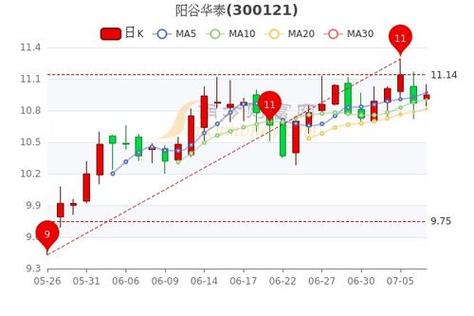 阳谷华泰股票-阳谷华泰股票行情预测