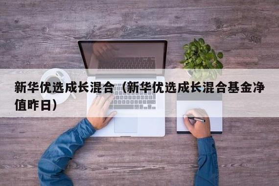 新华成长-新华成长优选