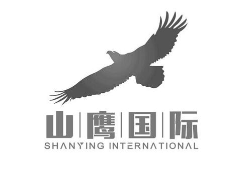 山鹰-山鹰国际