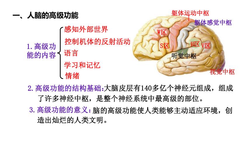 人脑工程-人脑工程概念27日主力流入