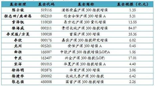 沪深300指数基金-沪深300指数基金排名前十名