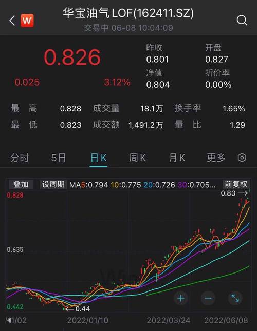 华宝油气-华宝油气162411实时行情