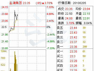 000578-000578盐湖集团