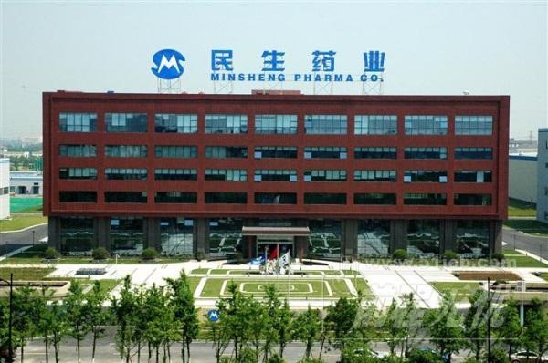 民生股份有限公司-民生股份有限公司什么情况