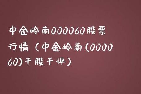 中金岭南吧-中金岭南吧(000060)股吧