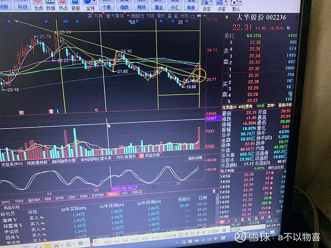 股票002236-股票002236今天的走势