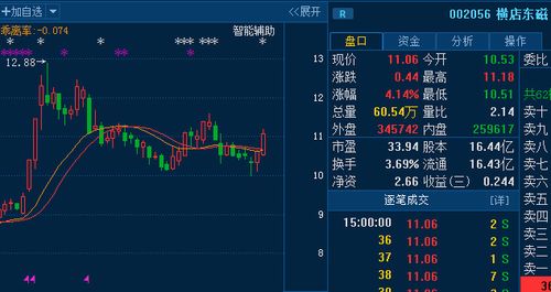002056股票-002056股票行情
