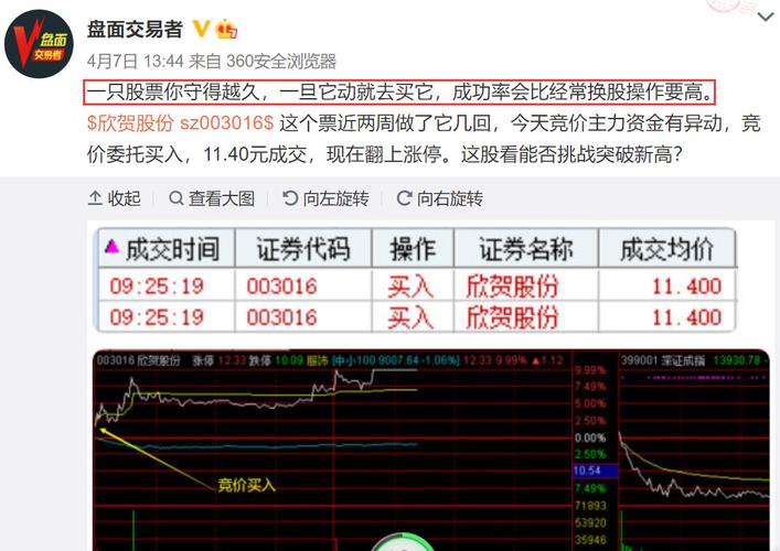 003016-003016股票