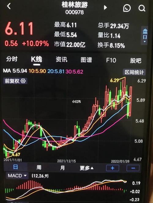 股票000978-股票000978桂林旅游