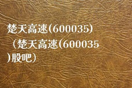 600035楚天高速-600035楚天高速股吧