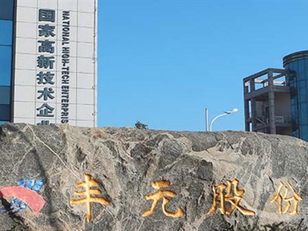 丰元股份-丰元股份股吧