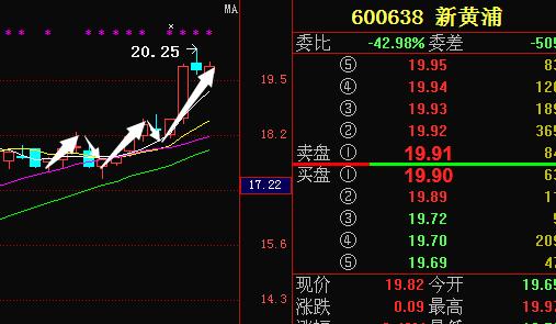 600638-600638新黄浦股票股吧