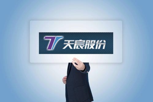 天宸股份有限公司-上海天宸股份有限公司